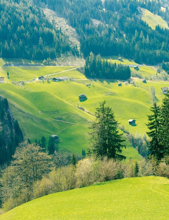Schoesserhof Villa Zell am Ziller Kültér fotó